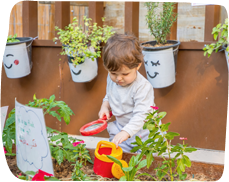 Bateen-Nursery-Pacakge-Image